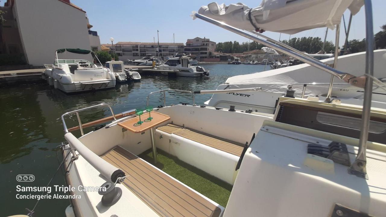 Nuit Insolite A Bord De L'Enata Un Voilier A Quai Sur La Marina De St Cyprien Saint-Cyprien  Zewnętrze zdjęcie